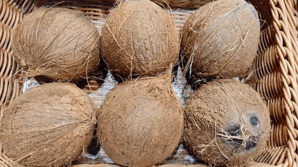 Watery Coconut!