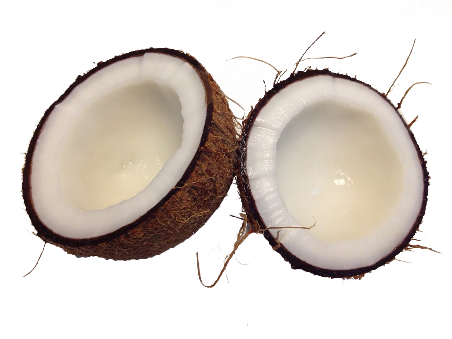 Watery Coconut!